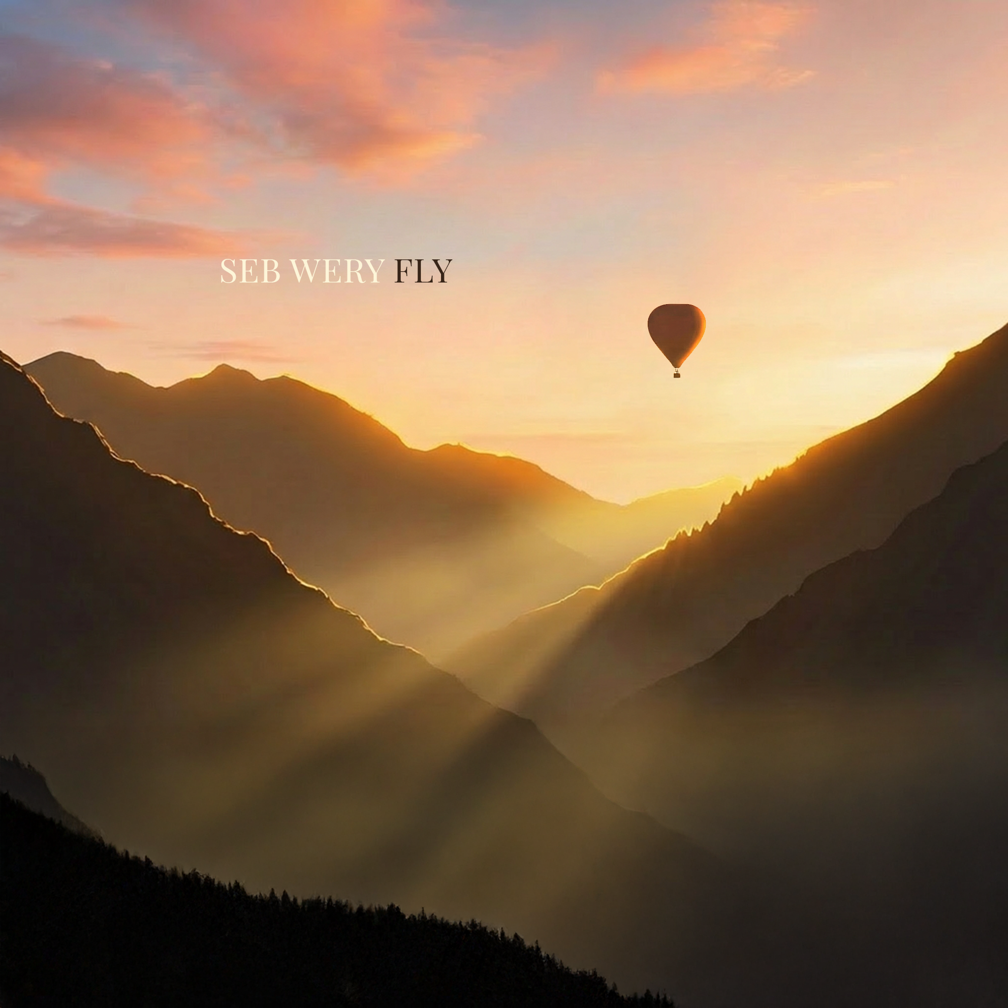 Fly by Seb Wery